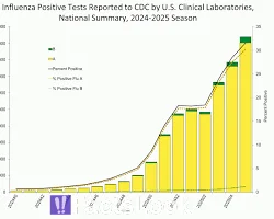 Flu Season 2025 Predictions – What to Expect