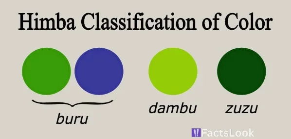 Language and Color Perception