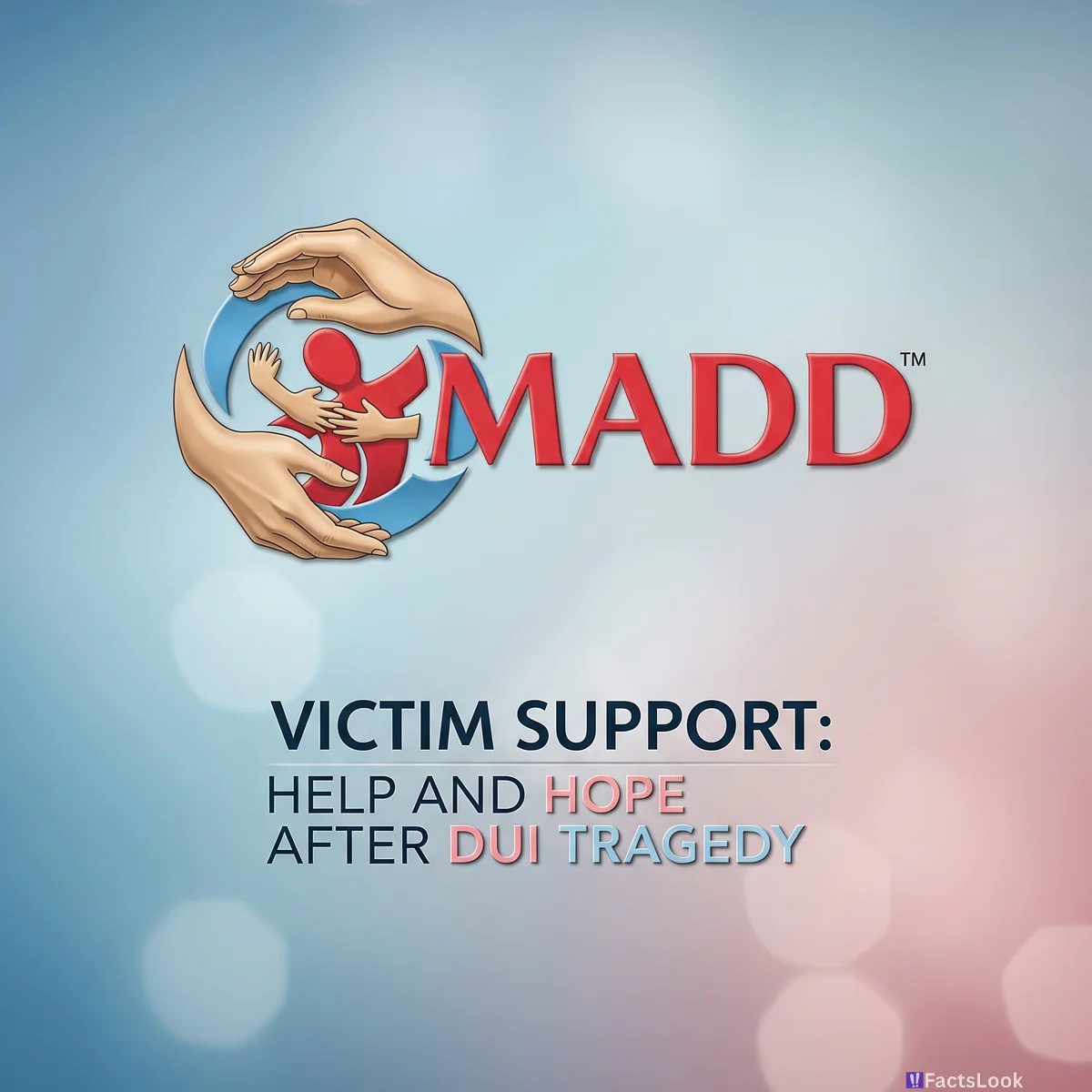 23. Victim Support: Organizations Offer Help After DUI Tragedies